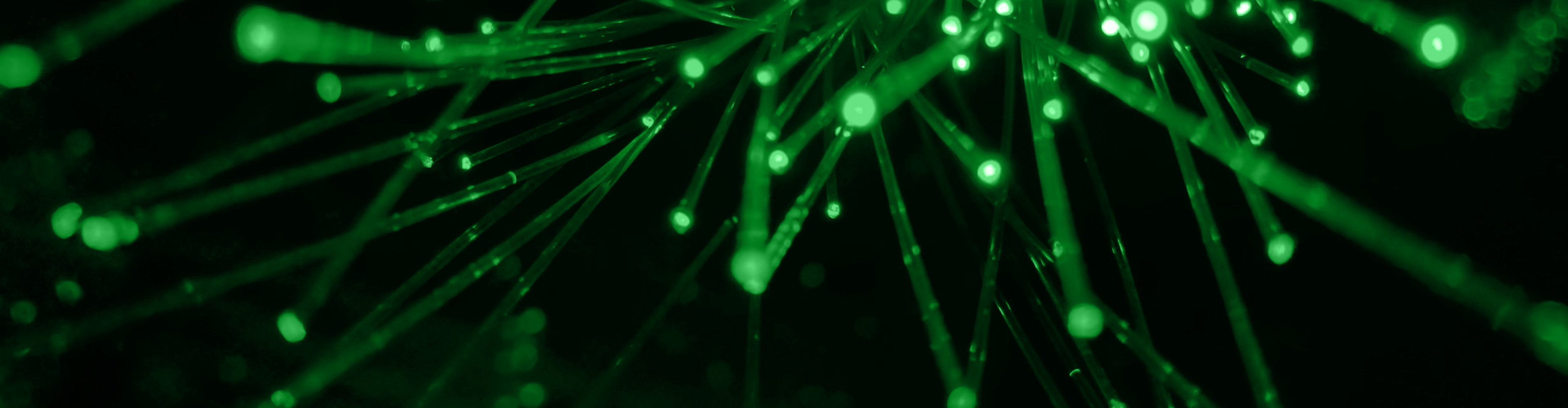Atlas Data Corporation Banner